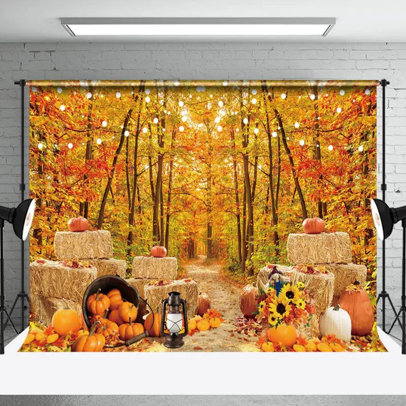 Haystack Pumpkin Autumn Woods Photography Backdrop - Aperturee
