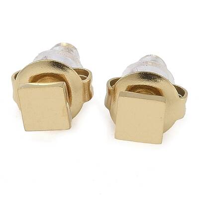 Ion Plating(IP) 304 Stainless Steel Stud Earrings for Women