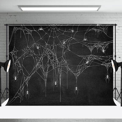 Scary Black White Spider Web Backdrop For Halloween