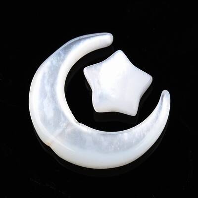 Natural Natural White Shell Beads Sets