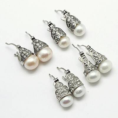 304 Stainless Steel Dangle Hoop Earrings