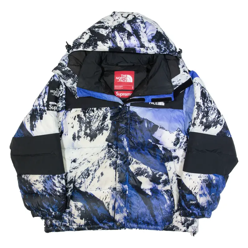 THE NORTH FACE SUPREME 700 Down Insulated Mens Puffer Coat Blue Crazy Pattern S