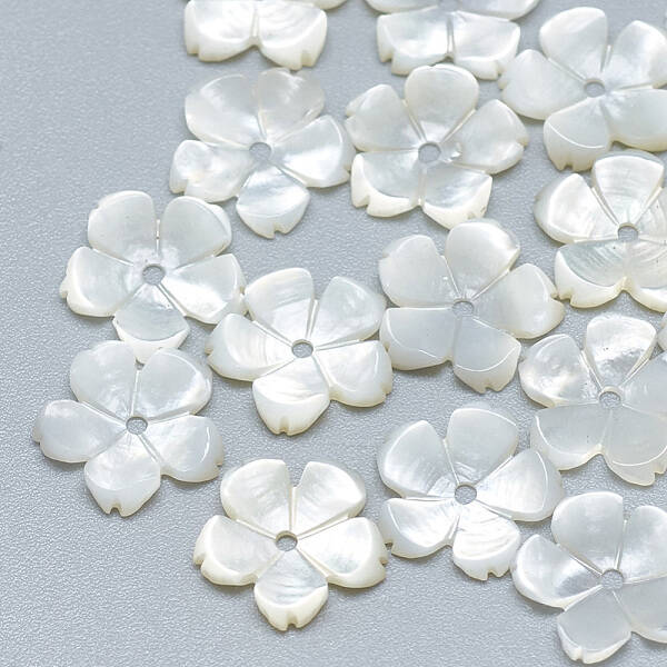 Natural White Shell Beads