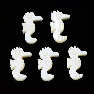 Natural Freshwater Shell Beads