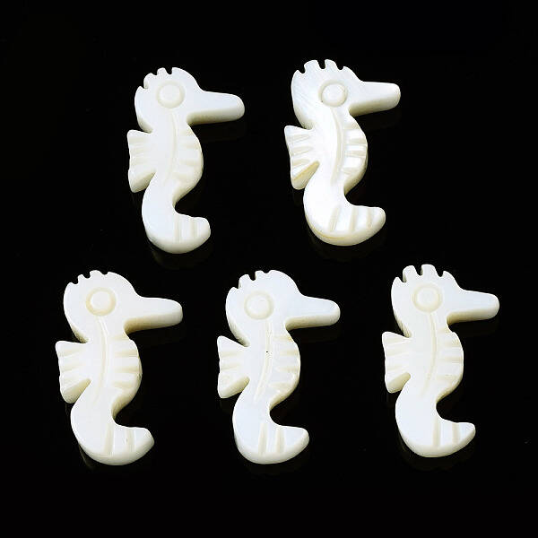 Natural Freshwater Shell Beads