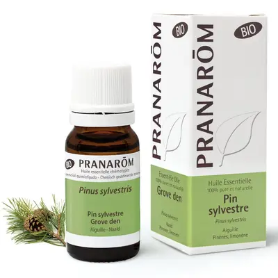 Pranarôm Essential Oils Essential Oil of pino silvestre organic 10ml