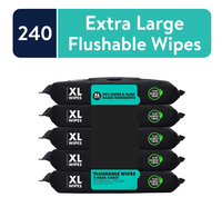 XL Wet Wipes for At Home Use, Mint Chill Scent, 48 Count, 5 Pack - Flushable Wipes - Toilet toilet paper safe butt