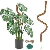 Bendable Moss Pole, Plant Support, Coconut Palm Fiber Plant Climbing Support Structure, Plant Support for Indoor Outdoor Home...