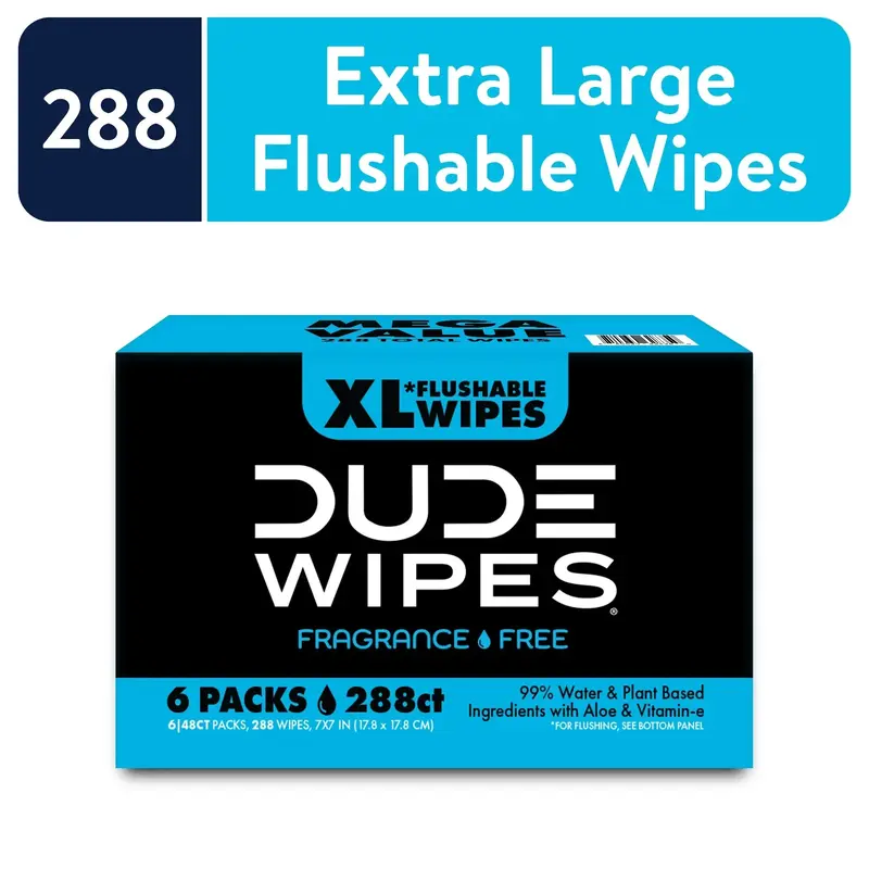 DUDE Wipes Unscented XL Flushable Wipes, 6 Flip-Top Packs Case, 48 Wipes per Pack, 288  Aloe Vera