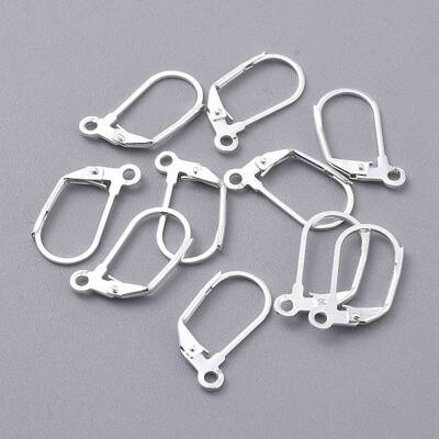 304 Stainless Steel Leverback Earring Findings