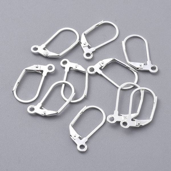 304 Stainless Steel Leverback Earring Findings