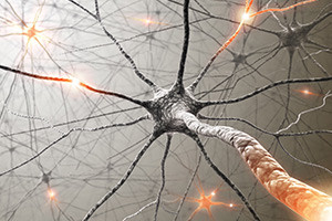 Neuroplasticity