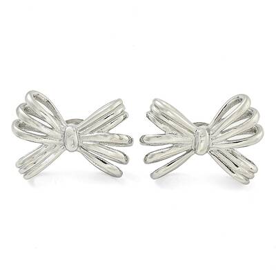 Non-Tarnish 304 Stainless Steel Stud Earrings for Women