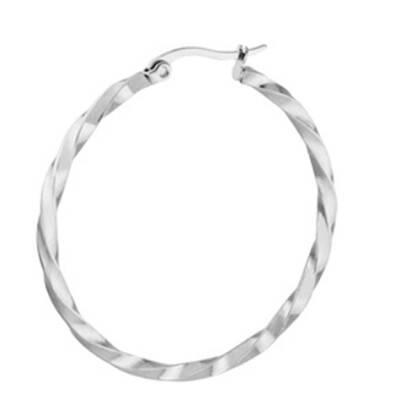 Stainless Steel Hoop Earrings