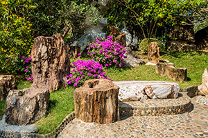 Garden Design Fundamentals