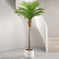 7/8/9FT Realistic Artificial Palm Tree Courtyard Front Corridor Decoration Tropical Atmosphere Low Depth Edition Maintenance