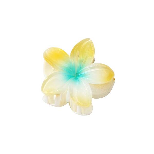 Plastic Claw Hair Clips