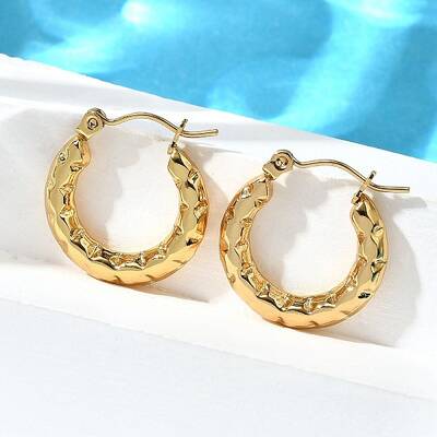 304 Stainless Steel Hoop Earrings for Women