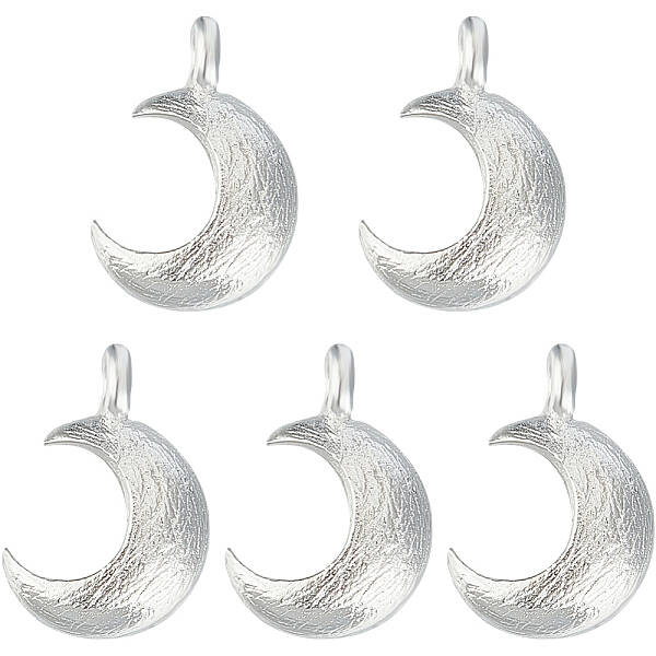 5Pcs 925 Sterling Silver Charms