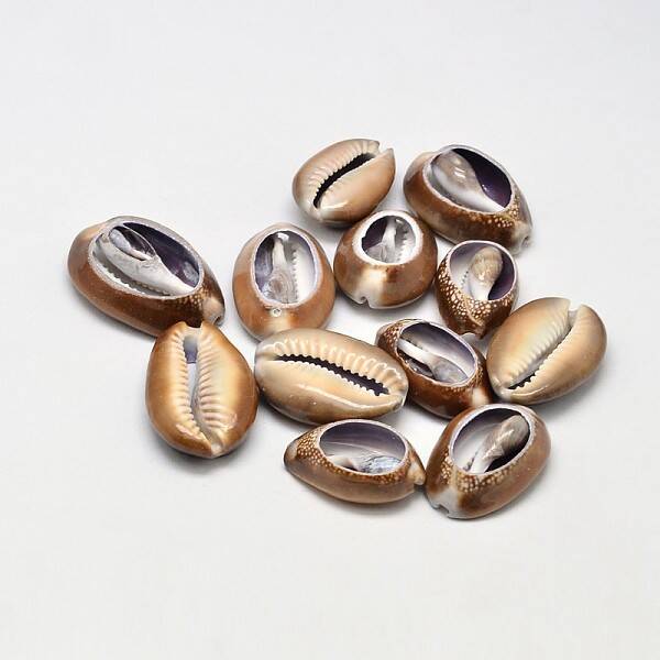 Natural Cowrie Shell Oval Beads