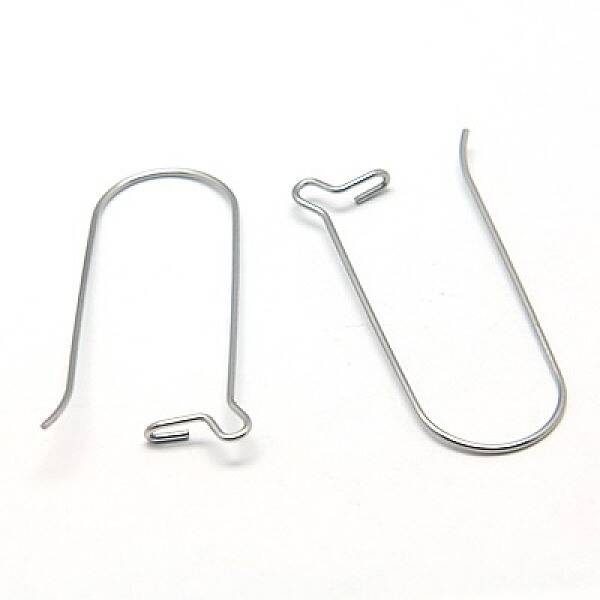 Tarnish Resistant 316 Stainless Steel Hoop Earrings Findings Kidney Ear Wires