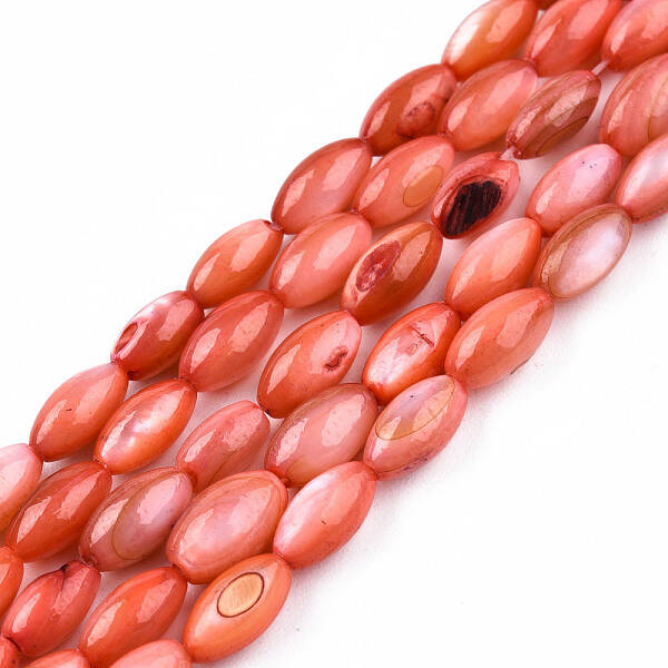 Natural Freshwater Shell Beads Strands