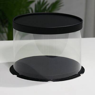 Clear Plastic Tall Cake Boxes
