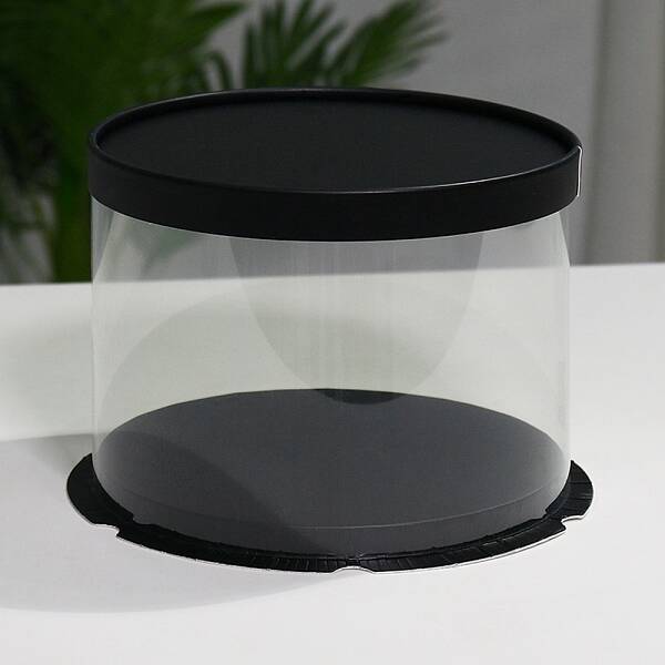 Clear Plastic Tall Cake Boxes