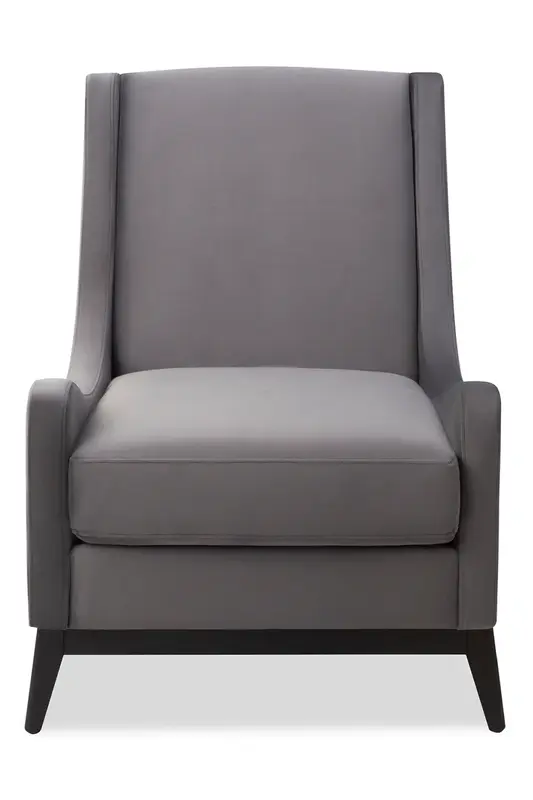 Night Gray Velvet Accent Chair | Liang & Eimil Lima