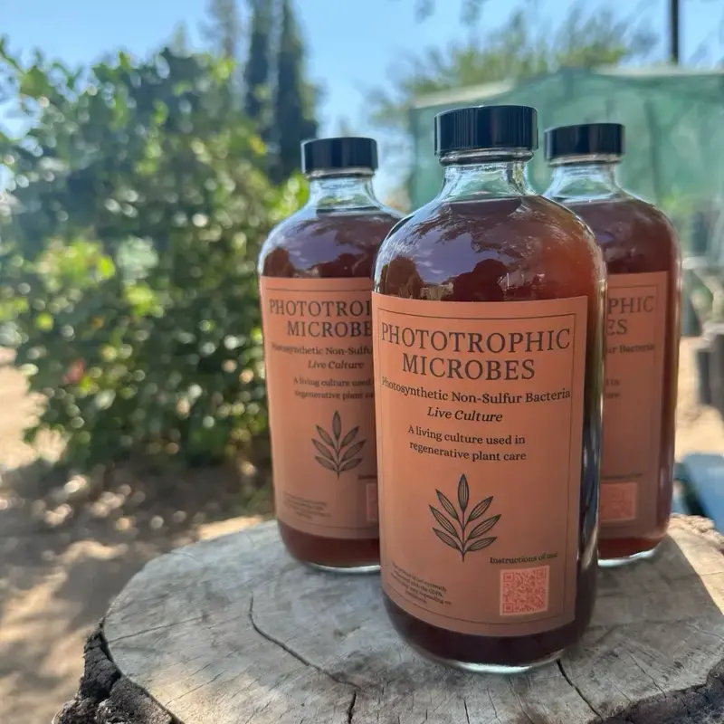 Plant Growth Stimulator - Phototropic Bacteria for Enhanced Plant Growth