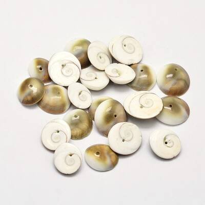 Natural Shiva Eye Shell Beads