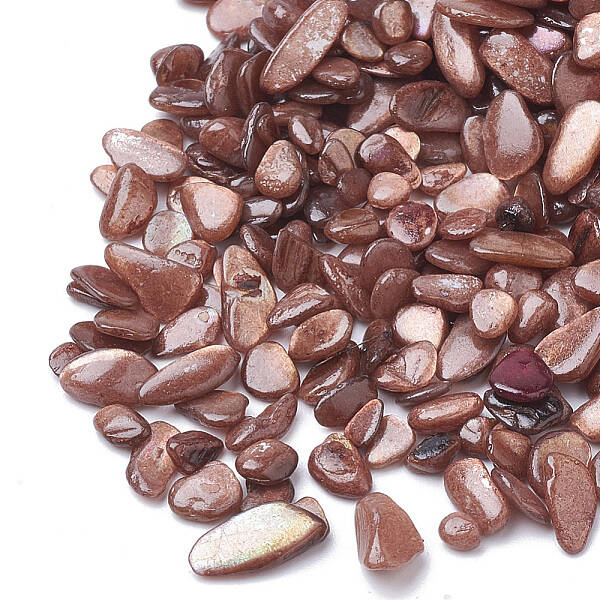 Shell Beads