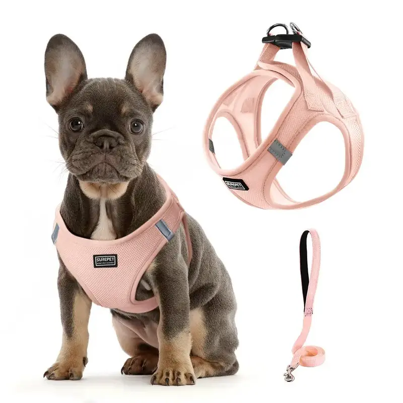 Pet Traction Rope Set, 1 Set Breathable Pet Chest Strap, Adjustable Pet Harness, Pet Supplies for Small and Medium-sized Dogs...