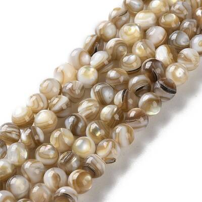 Natural Freshwater Shell Beads Strands