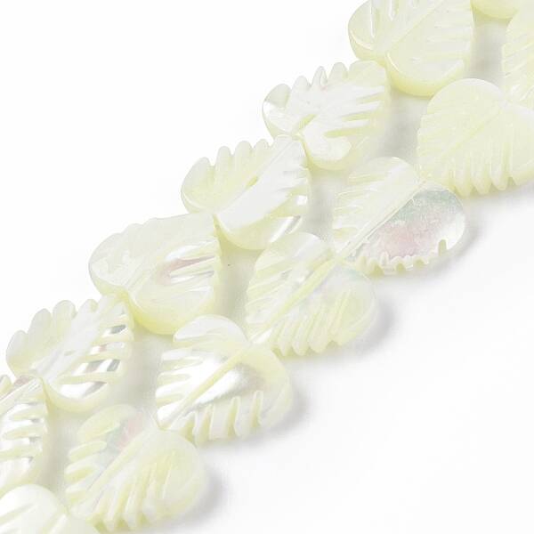 Natural Trochid Shell/Trochus Shell Beads