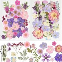 Dried Pressed Flowers, 50pcs/set Natural Dry Leaves & Petals, Colorful Flower Kit for Scrapbooking, DIY Candle Jewelry Crafts...