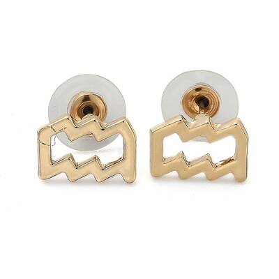 12 Constellation/Zodiac Sign Alloy Stud Earrings