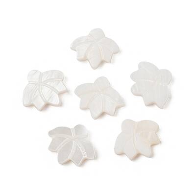 Natural Freshwater Shell Beads