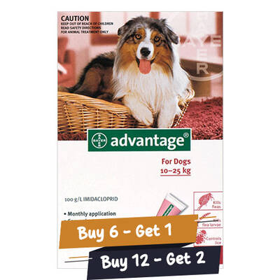 Advantage Large Dogs 21-55lbs (Red) 4 Doses