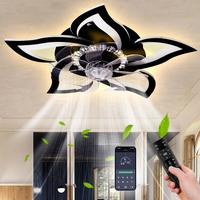 Ceiling Fans with Lights Remote Control, 27\