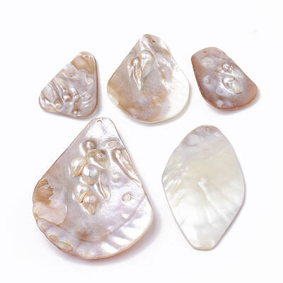 Freshwater Shell Big Pendants