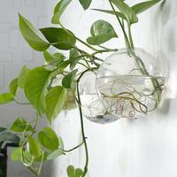 Wall Mounted Glass Planter without Plants, Round Glass Vase for Wall Decor, Wall Ornaments, Home Office Decoration Supplies, ...