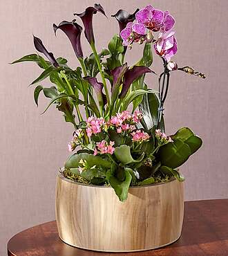 Sending a Garden of Love - FedEx