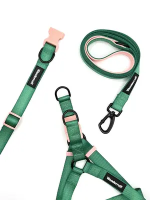 Lola Walk Kit | Collar Size: S | Harness Size: S | Leash Width: M/L(1