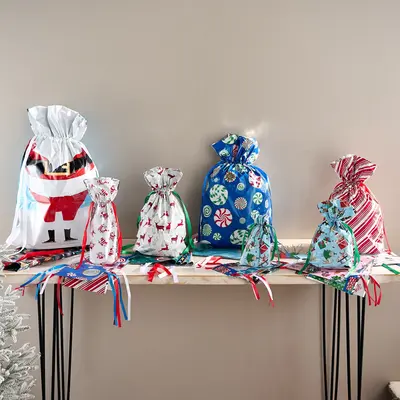 Kringle Express 50-Piece Gift Bags & Tags Set