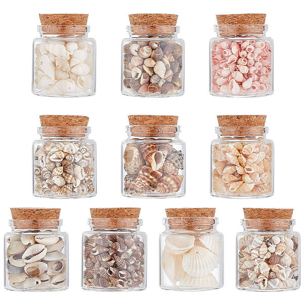10Pcs Natural Sea Shell Conch Bead & Transparent Glass Bottle Display Decorations