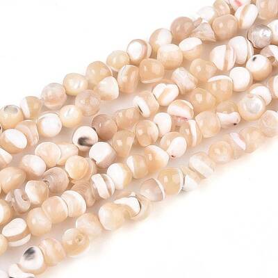 Natural Trochid Shell/Trochus Shell Beads Strands