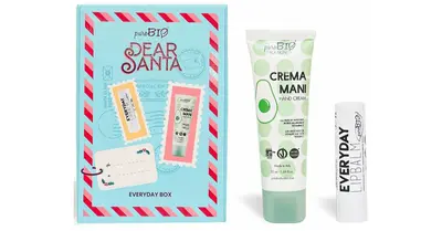 puroBIO Cosmetics Dear Santa Everyday Box Gift Box 2 pieces