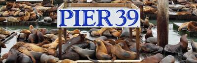 Flavors of Fisherman’s Wharf: A Walking Tour from Pier 39 to Ghirardelli Square