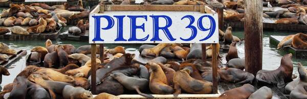 Flavors of Fisherman’s Wharf: A Walking Tour from Pier 39 to Ghirardelli Square